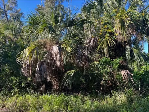 Americana Ave, Estero, FL 33928 photo 2