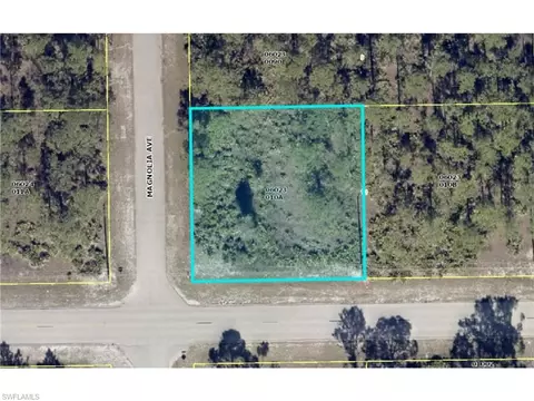 906 W 17th St, Lehigh Acres, FL 33972