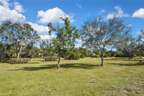 20622 W Silver Palm Dr, Estero, FL 33928 photo 49