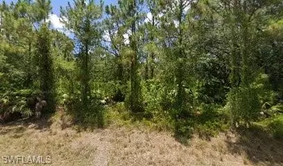 1917 Canton Ave, Lehigh Acres, FL 33972