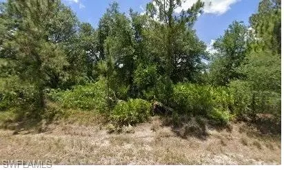 1915 Canton Ave, Lehigh Acres, FL 33445