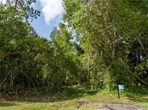 Tbd Pine Tree Dr, Naples, FL 34112 photo 4