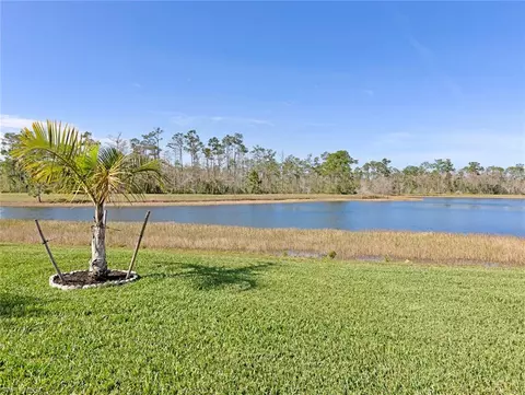 13106 Cardeto Ct, Estero, FL 33928 photo 39