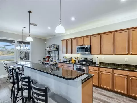 13106 Cardeto Ct, Estero, FL 33928 photo 14