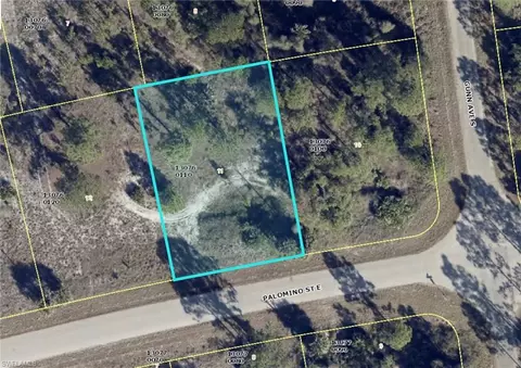 821 Palomino St E, Lehigh Acres, FL 33974