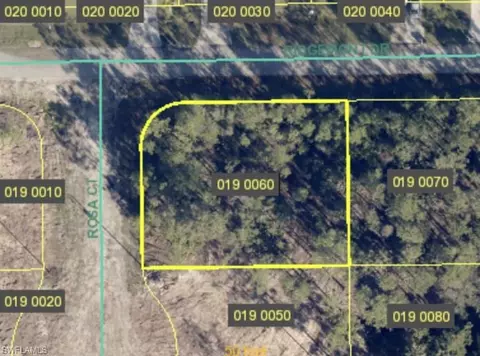 2008 Rosa Ct, Lehigh Acres, FL 33972