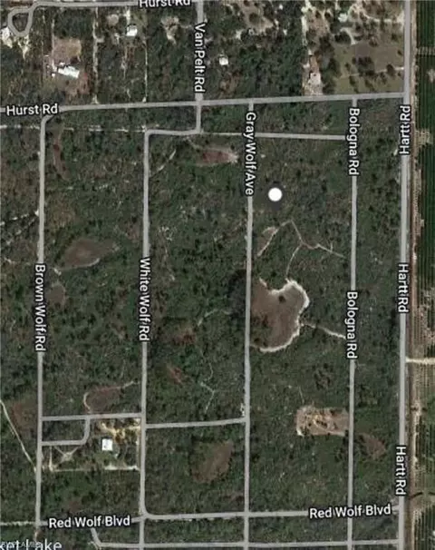 Tba Grey Wolf Ave, Sebring, FL 33870 photo 5