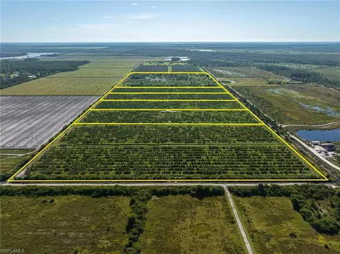 21987 Carter Rd, Estero, FL 33928 photo 9