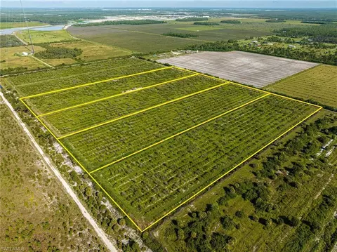 21987 Carter Rd, Estero, FL 33928 photo 7