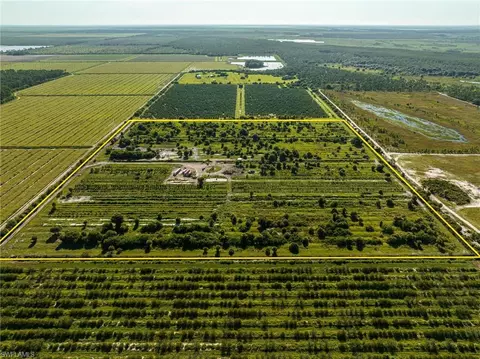 21999 Carter Rd, Estero, FL 33928 photo 7