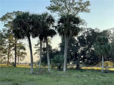 W State Rd 80, Labelle, FL 33935 photo 33