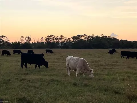 W State Rd 80, Labelle, FL 33935 photo 6