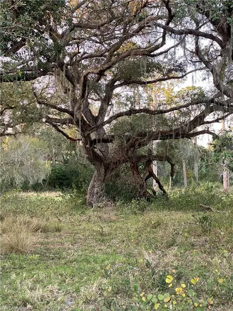 W State Rd 80, Labelle, FL 33935 photo 37
