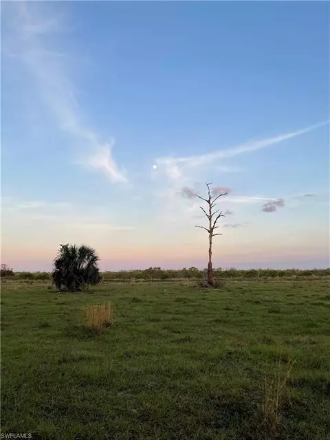 W State Rd 80, Labelle, FL 33935 photo 48