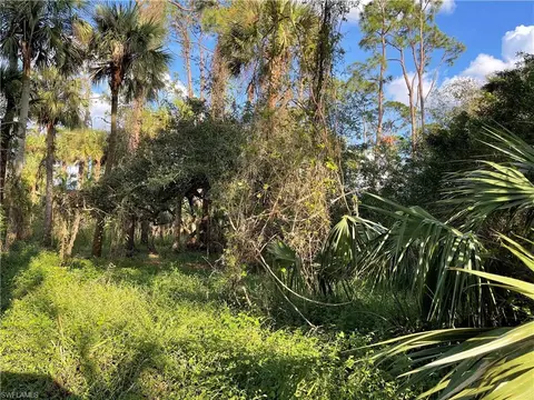 W State Rd 80, Labelle, FL 33935 photo 8