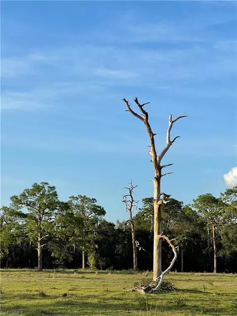 W State Rd 80, Labelle, FL 33935 photo 26