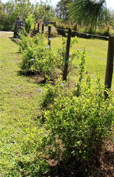 Other - 1121 Carson Dr SW, Labelle, FL 33935 photo 2 of 13