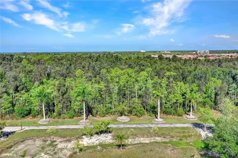 Morgan Rd, Naples, FL 34114 photo 12