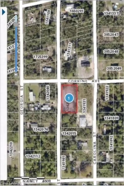 0 Virginia St, Paisley, FL 32767