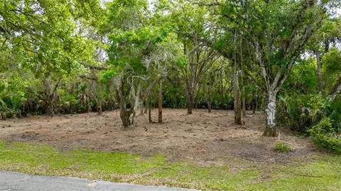 March Ln, Labelle, FL 33935 photo 4