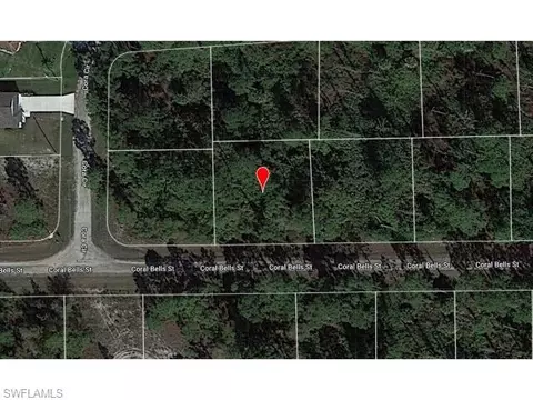 1125 Coral Bells St E, Lehigh Acres, FL 33974