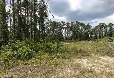 1157 Damen St E, Lehigh Acres, FL 33974