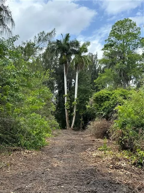 Singletary St, Other, FL 34137