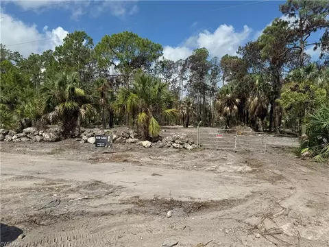 1675 Dove Tree St, Naples, FL 34117 photo 10