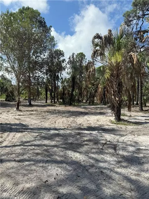 1675 Dove Tree St, Naples, FL 34117 photo 8