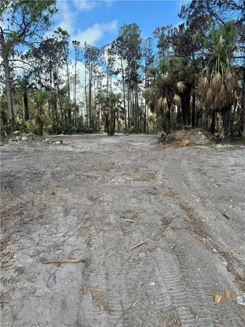 1675 Dove Tree St, Naples, FL 34117 photo 4