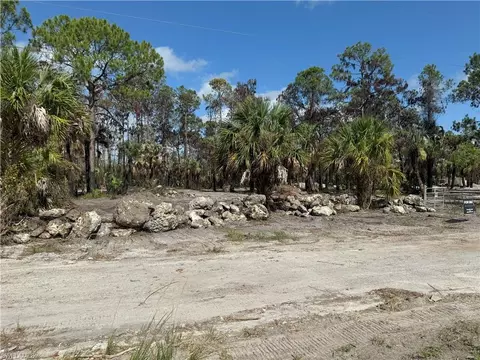 1675 Dove Tree St, Naples, FL 34117 photo 11