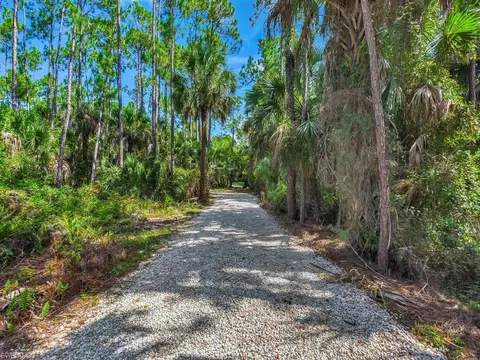 1215 Jung Blvd E, Naples, FL 34120 photo 24