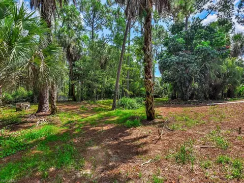 1215 Jung Blvd E, Naples, FL 34120 photo 30