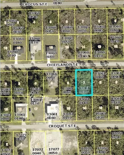 1142 Chiefland St E, Lehigh Acres, FL 33974