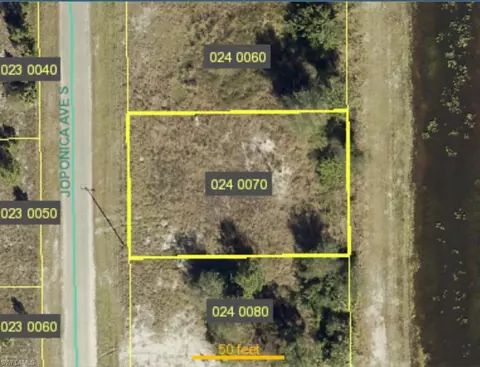 713 Joponica Ave S, Lehigh Acres, FL 33974