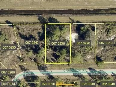 954 Chadwick St, Lehigh Acres, FL 33974