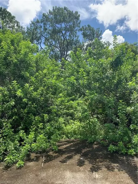 11350 Six Ls Farm Rd, Naples, FL 34114