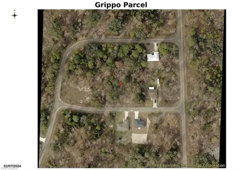 000 Guava Place Pass, Ocklawaha, FL 32179