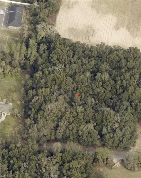 Bessie Dix Rd, Seffner, FL 33584 photo 4