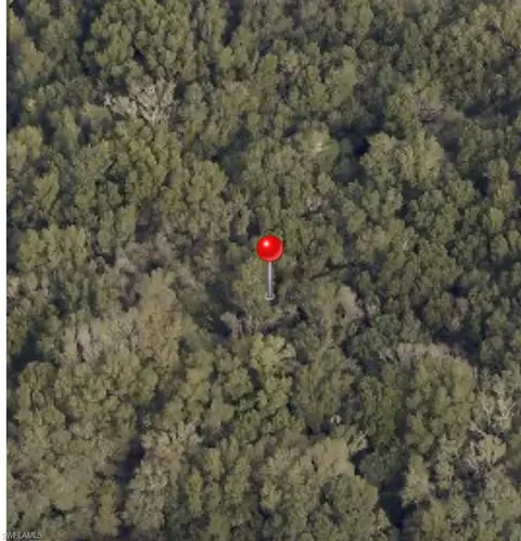 Bessie Dix Rd, Seffner, FL 33584