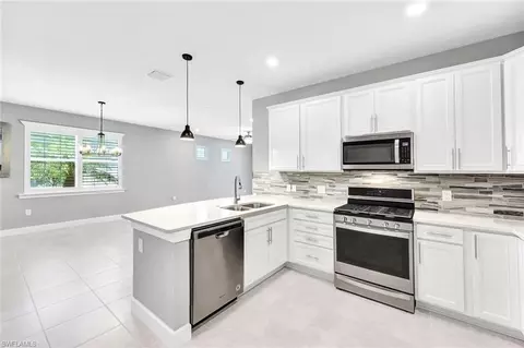 20041 Parrot Key Ct, Estero, FL 33928 photo 9