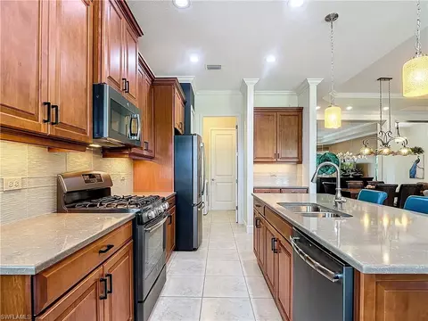 21281 Estero Palm Way, Estero, FL 33928 photo 6