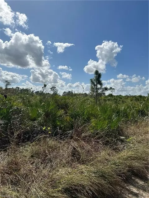 7825 1st Ter, Labelle, FL 33935 photo 2