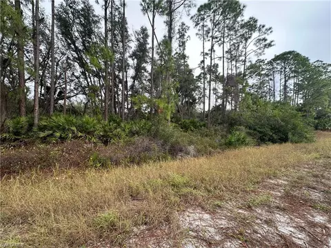 4215 E 31st St, Alva, FL 33920 photo 4