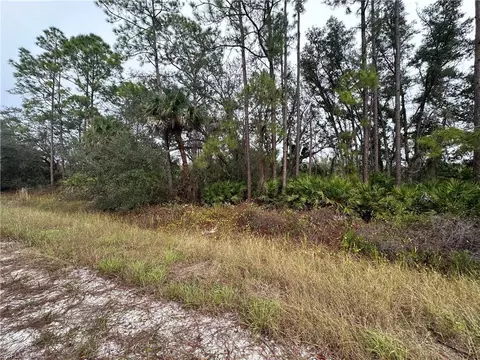 4215 E 31st St, Alva, FL 33920 photo 5