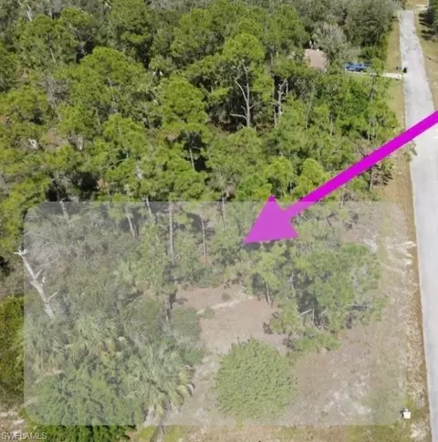 2113 Abbott Ave, Alva, FL 33920