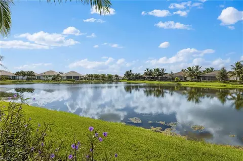 3202 Quilcene Ln, Naples, FL 34114 photo 23