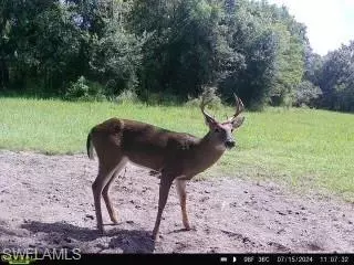28420 Mullet Rd, Labelle, FL 33935 photo 35