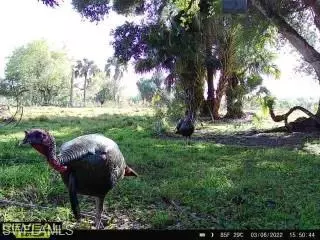 28420 Mullet Rd, Labelle, FL 33935 photo 30