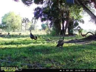 28420 Mullet Rd, Labelle, FL 33935 photo 31